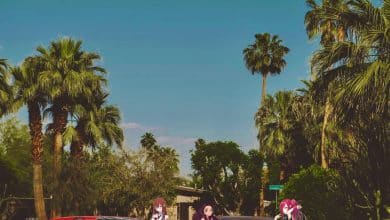 Rizzyserino feat. Z-Kurisu - Homer Simpson