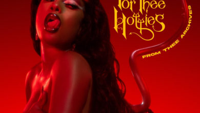 Megan Thee Stallion - Something For Thee Hotties