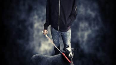 Jody Lo - The Black Sheep Effect