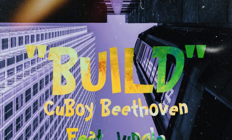 CuBoy Beethoven - Build