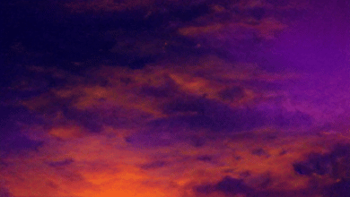 Damon Modarres - 4am