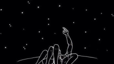 Highqualityzhit - N9NE