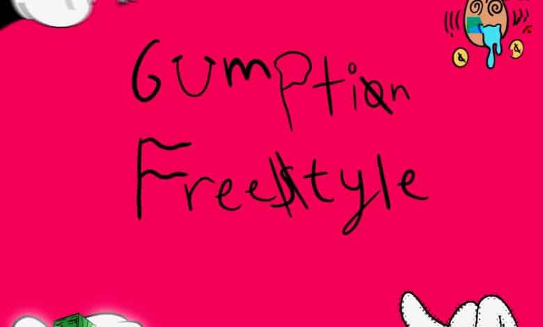 Mic C. Craz feat. ShaiVA - Gumption Freestyle