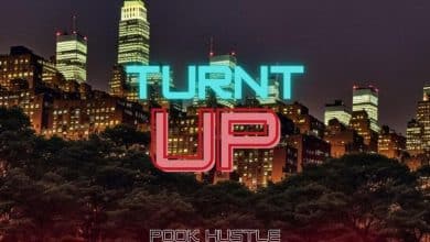 Brooklyn Wildlife, Pook Hustle & Young Forever NY - Turnt Up