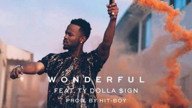 Casey Veggies - Wonderful cover