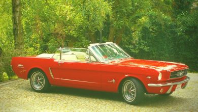 Jimmy Bravo - Car Life