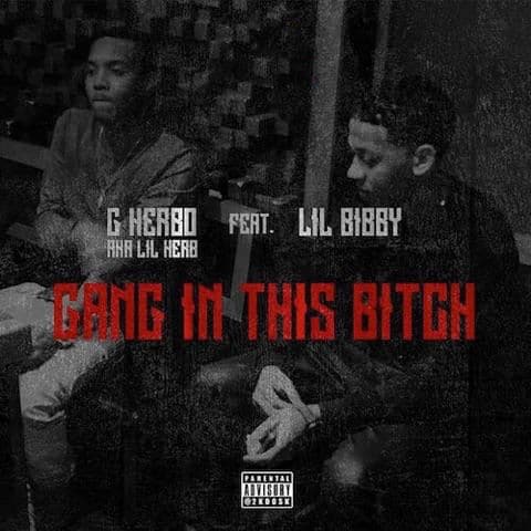 Lil Herb - Gang In This Bitch cover